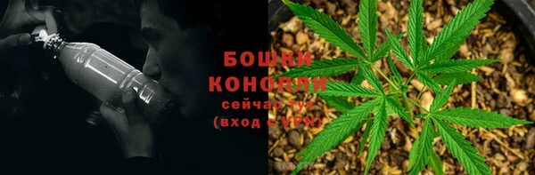 ECSTASY Елизово