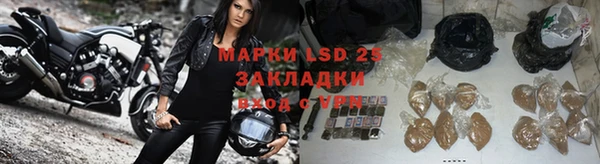 гашик Дмитров