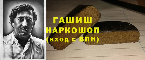 гашик Дмитров