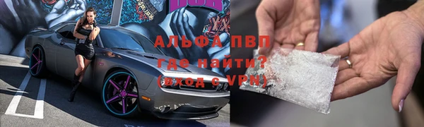 гашик Дмитров