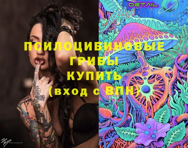 МДПВ Дмитровск