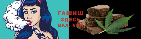 гашик Дмитров