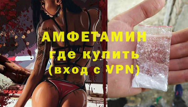 гашик Дмитров