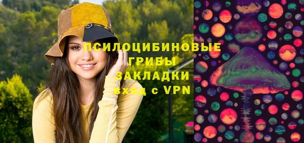 МДПВ Дмитровск