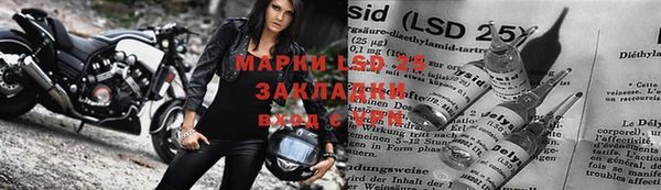 гашик Дмитров