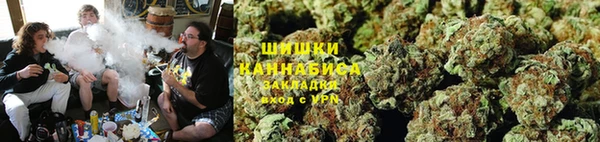 не бодяженный Ельня