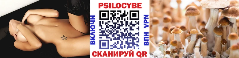 Галлюциногенные грибы Psilocybine cubensis  что такое наркотик  blacksprut как войти  Королёв 
